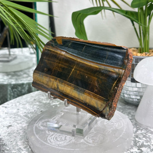 Blue Golden Tigers-eye Polished slabs-  BGT4
