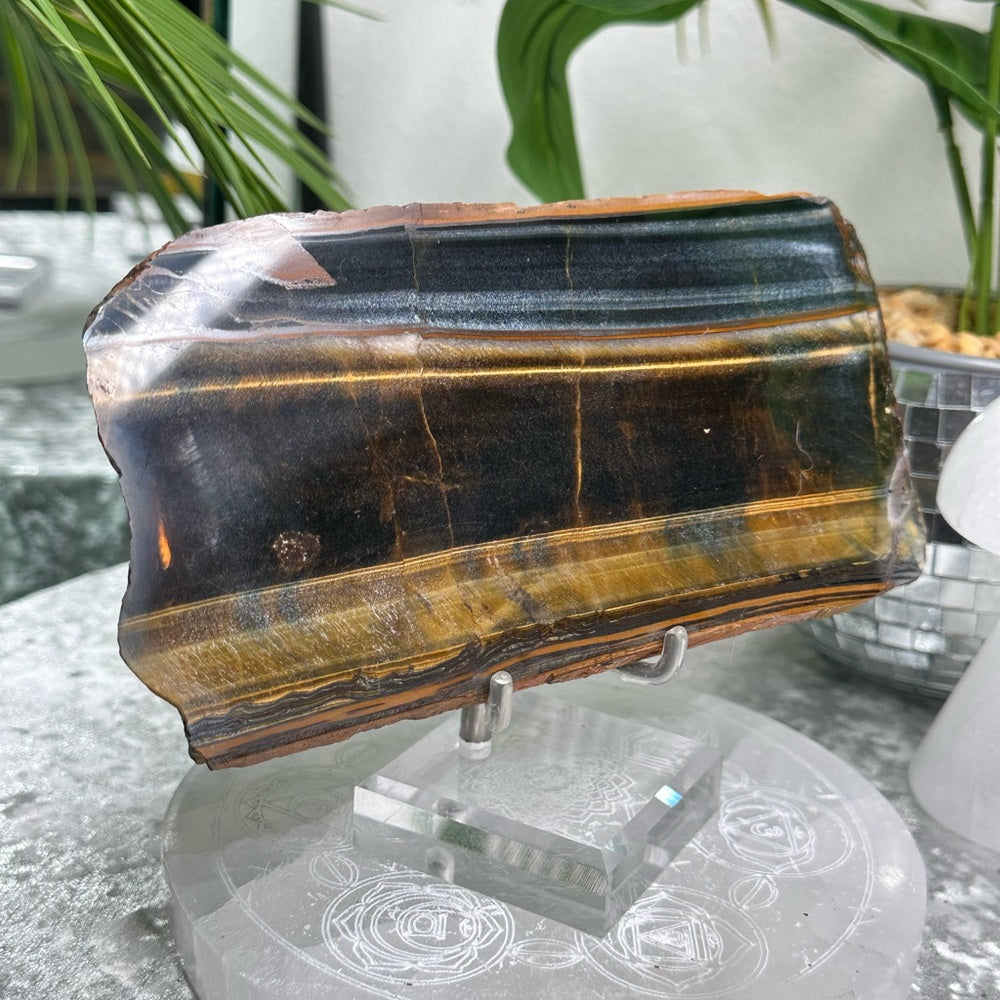 Blue Golden Tigers-eye Polished slabs-  BGT4
