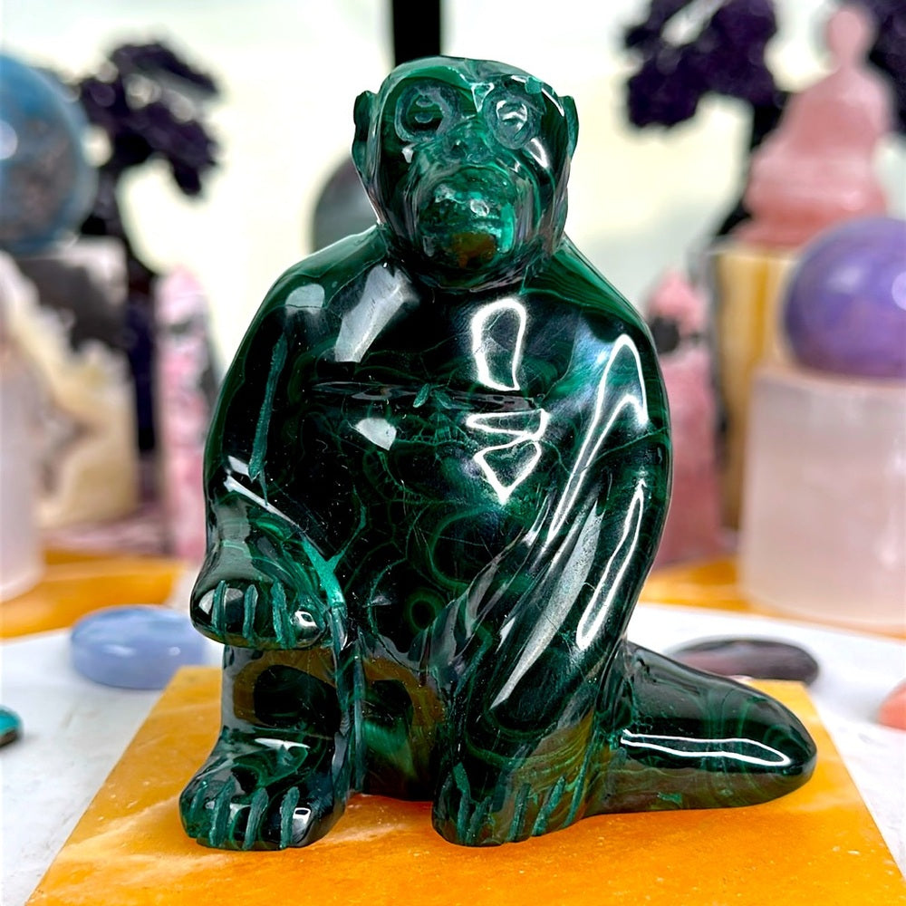 Malachite Monkey MM01
