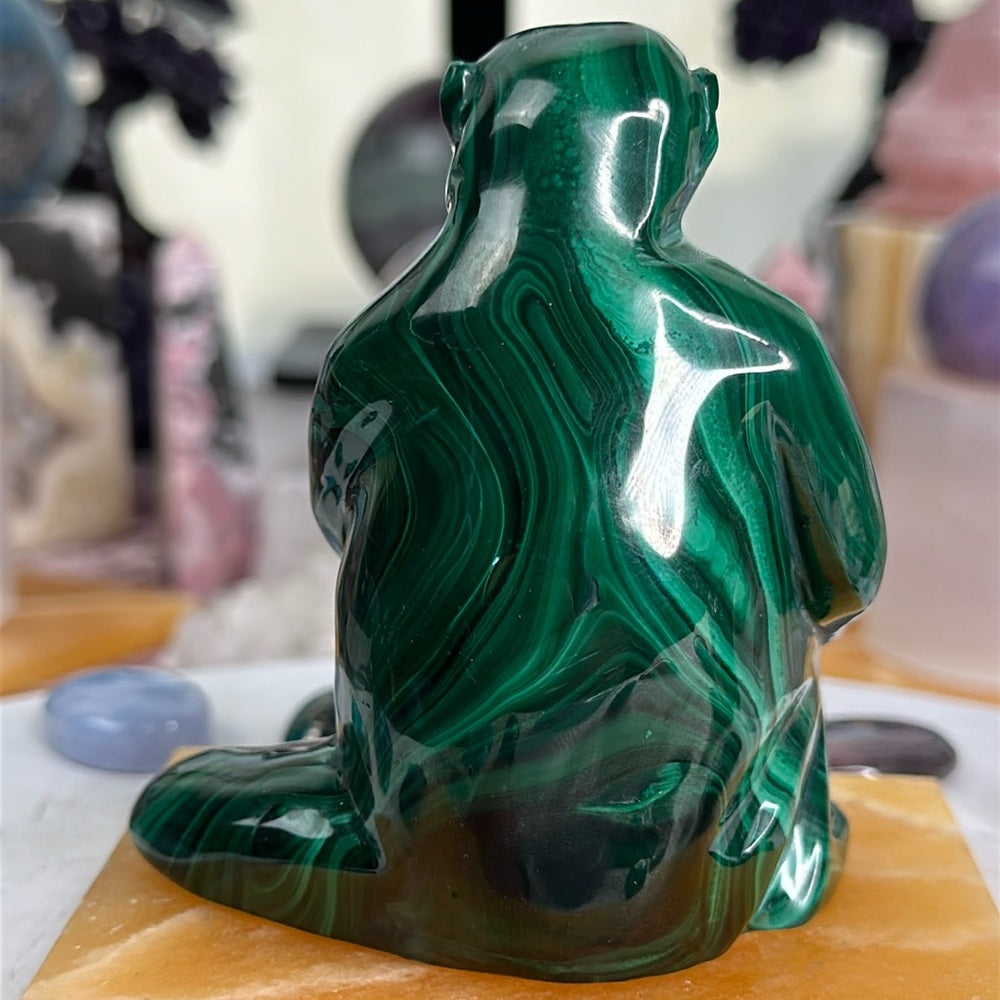 Malachite Monkey MM01