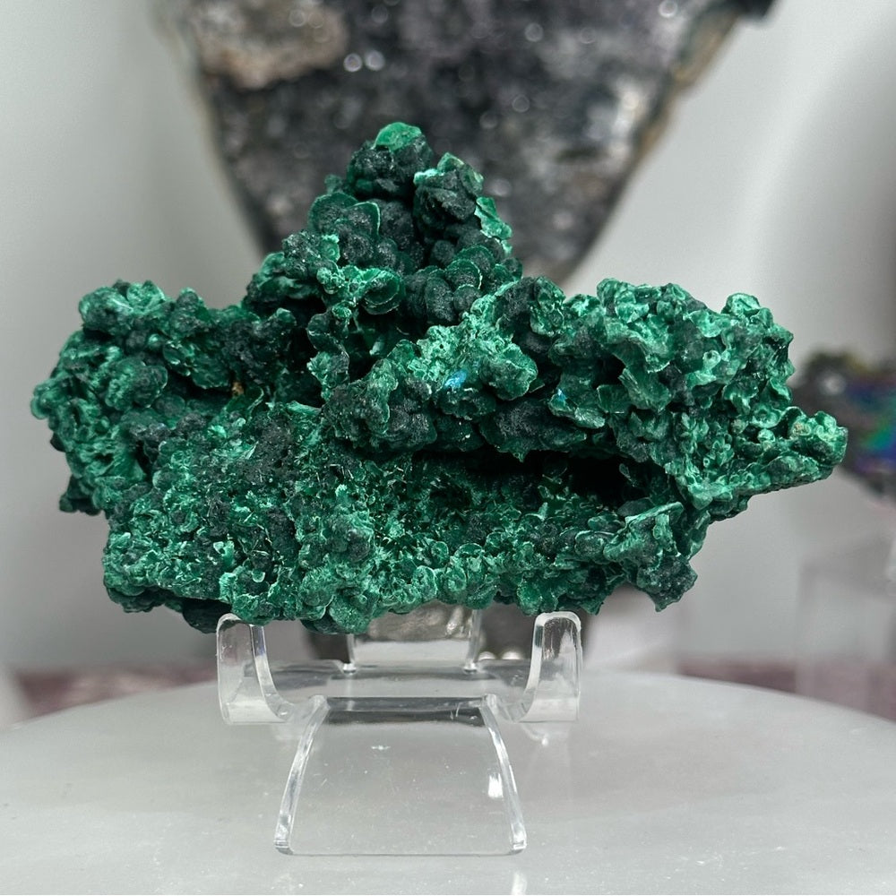 Velvet malachite VM01