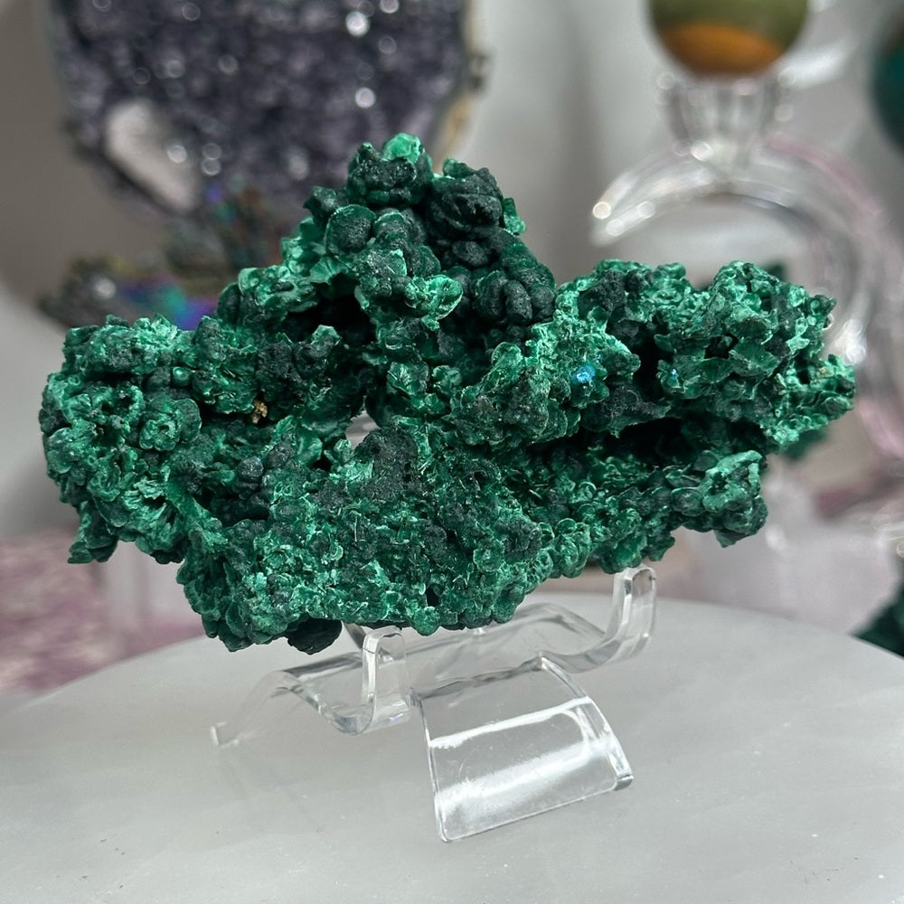 Velvet malachite VM01