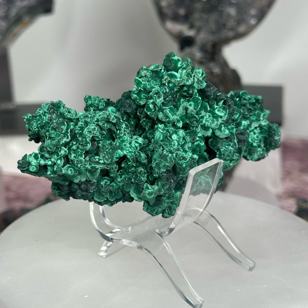 Velvet malachite VM01