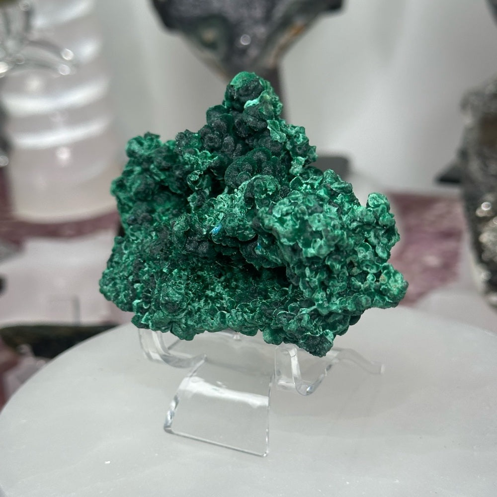 Velvet malachite VM01