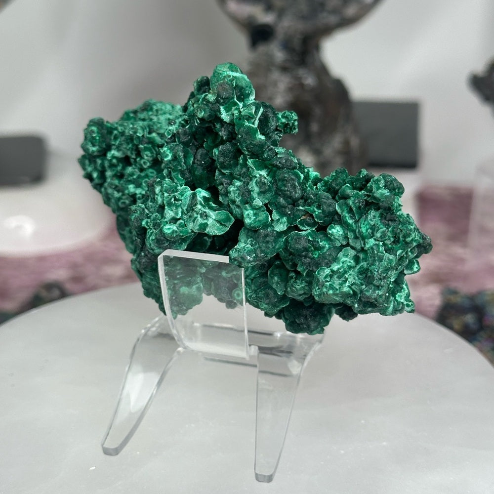 Velvet malachite VM01