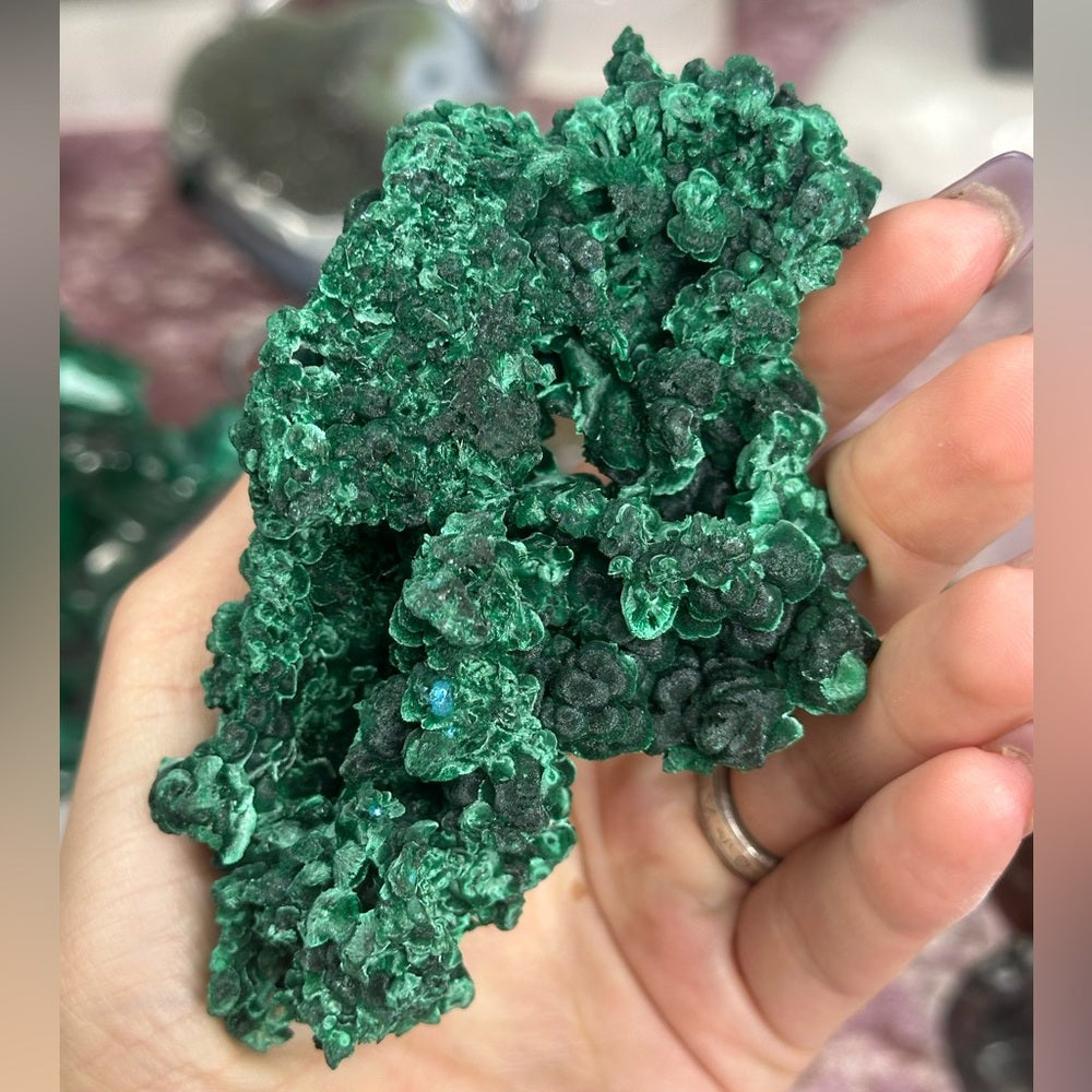 Velvet malachite VM01