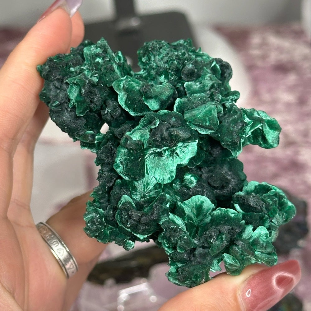 Velvet malachite VM02