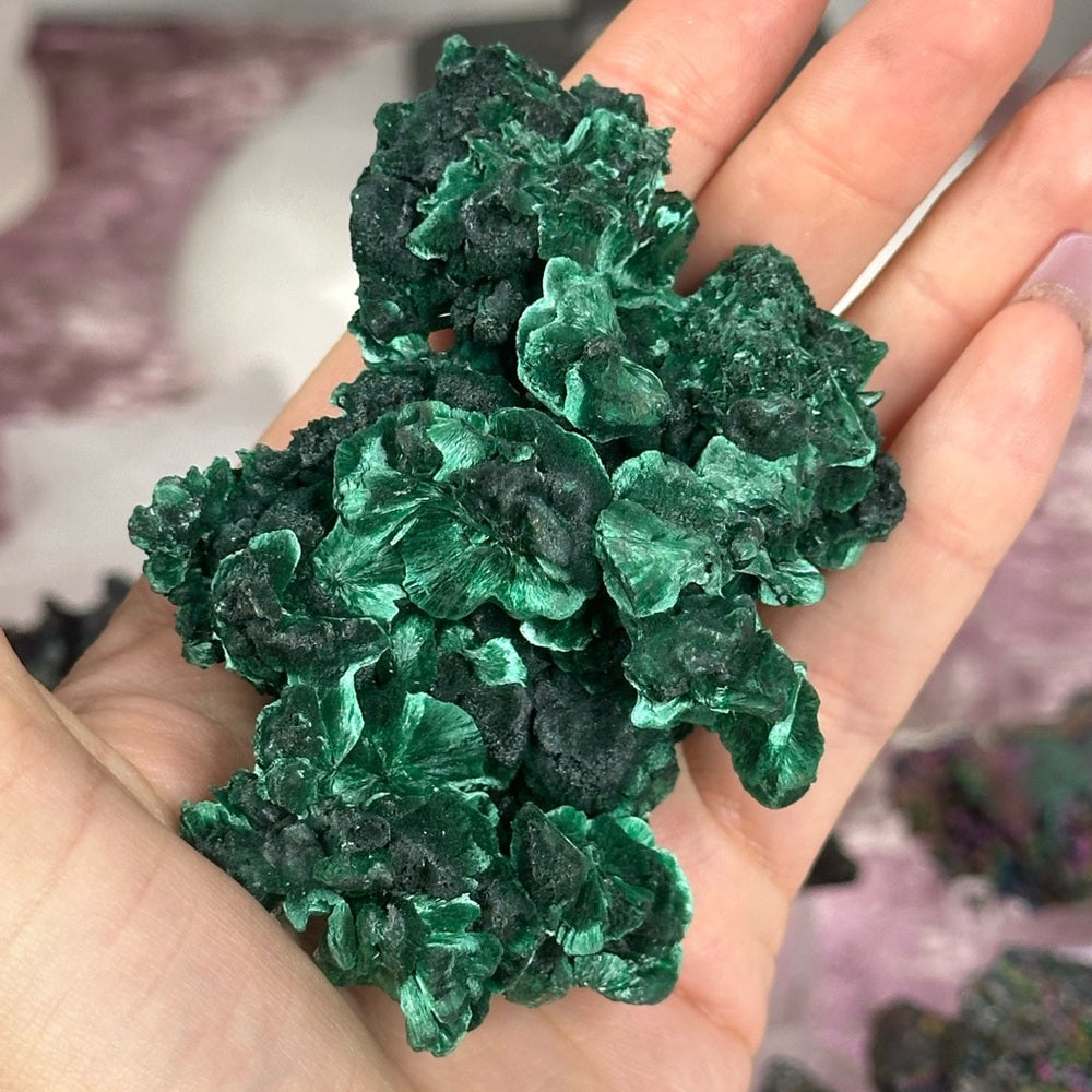 Velvet malachite VM02