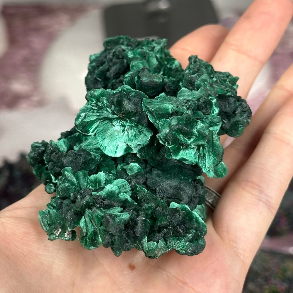 Velvet malachite VM02