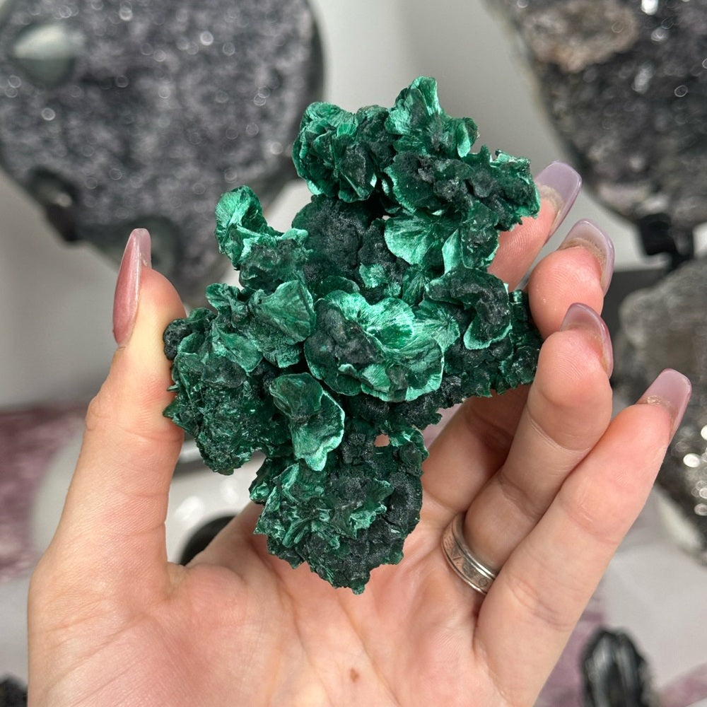 Velvet malachite VM02