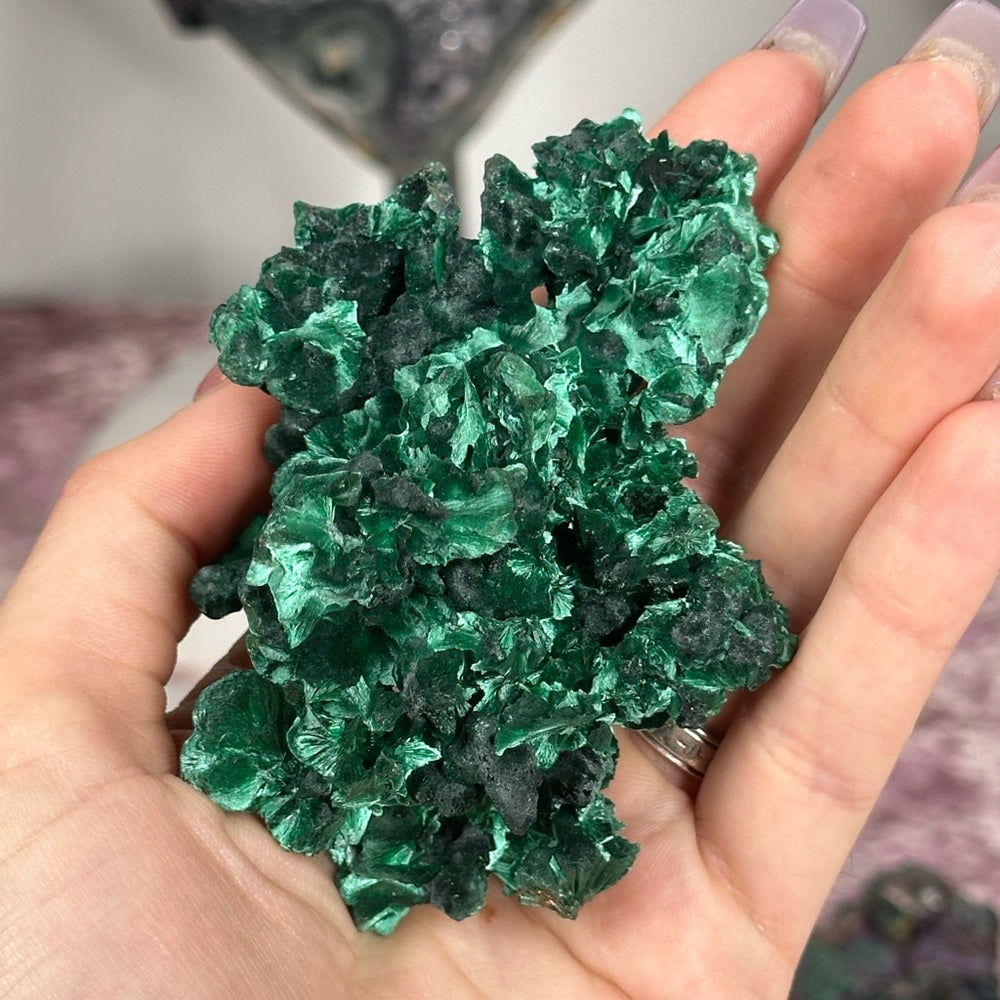 Velvet malachite VM02