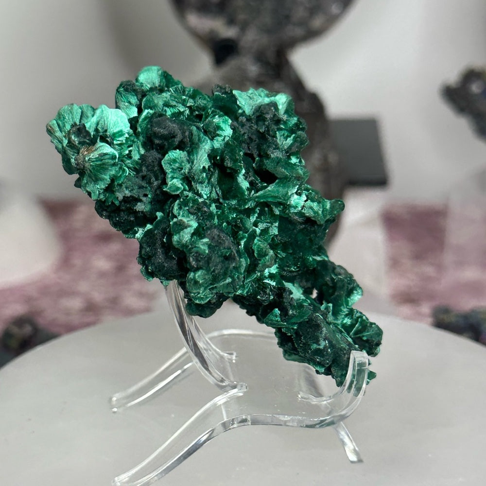 Velvet malachite VM02