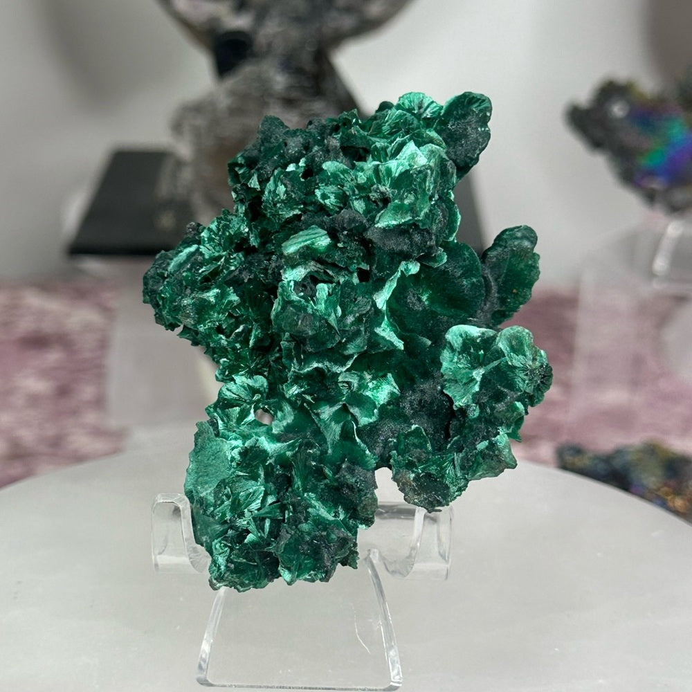 Velvet malachite VM02