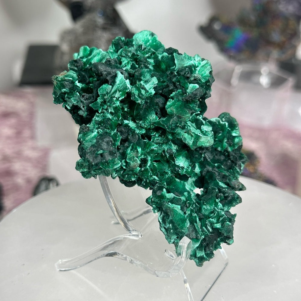 Velvet malachite VM02
