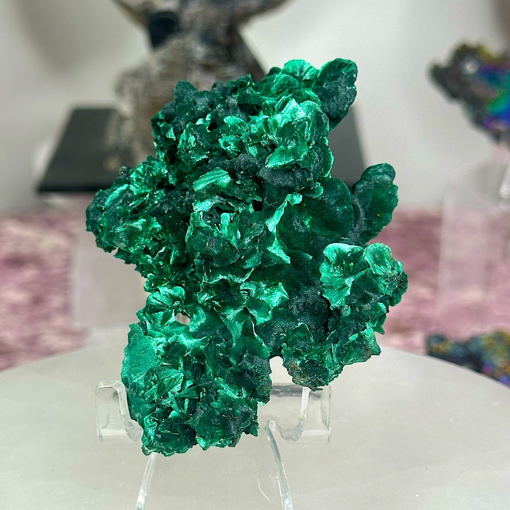 Velvet malachite VM02
