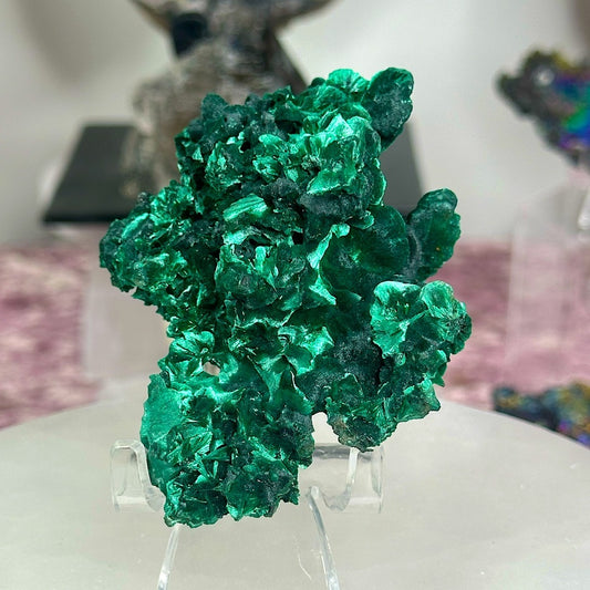 Velvet malachite VM02