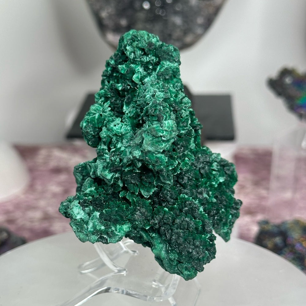 Velvet malachite VM03