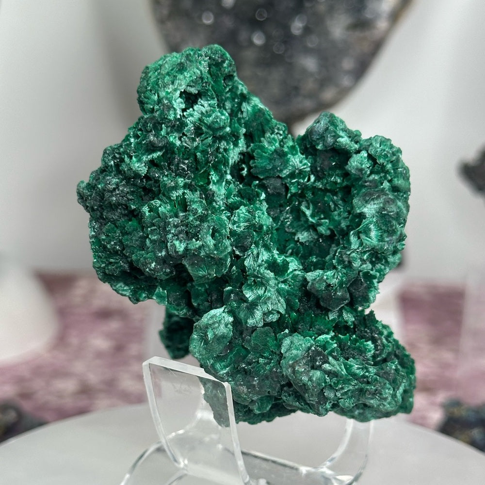 Velvet malachite VM03