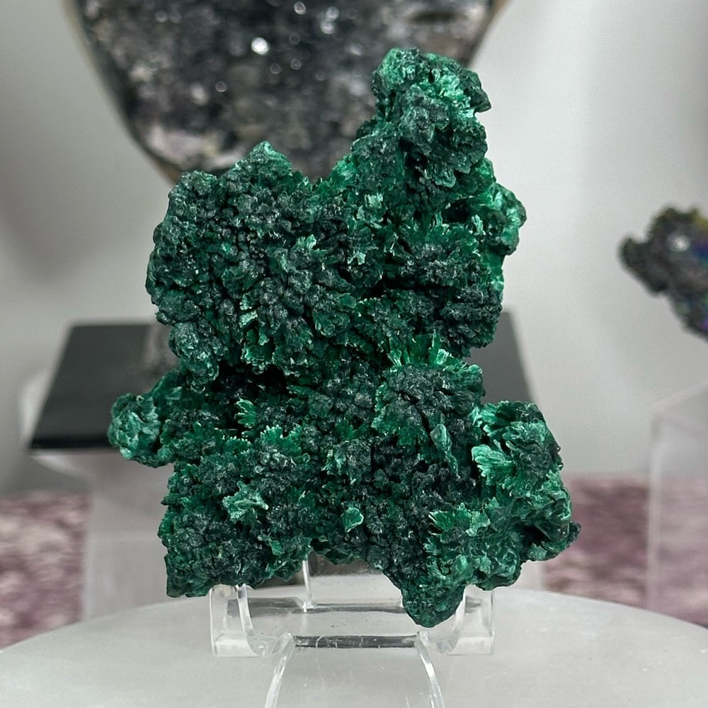 Velvet malachite VM03