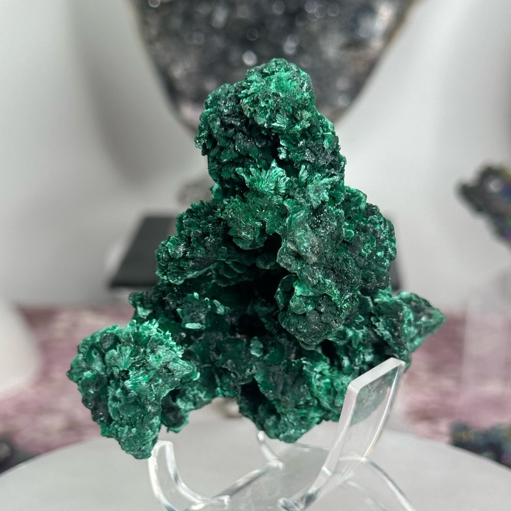 Velvet malachite VM03