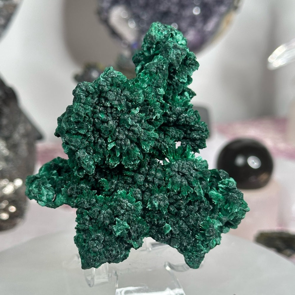 Velvet malachite VM03