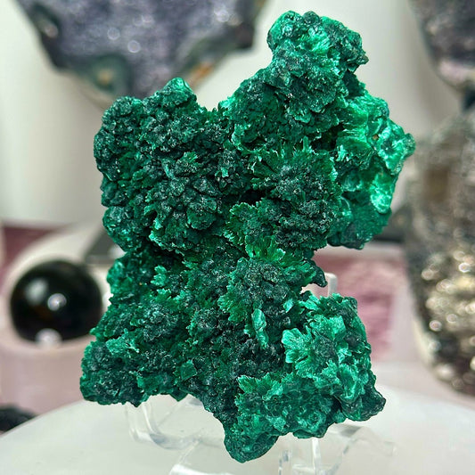 Velvet malachite VM03