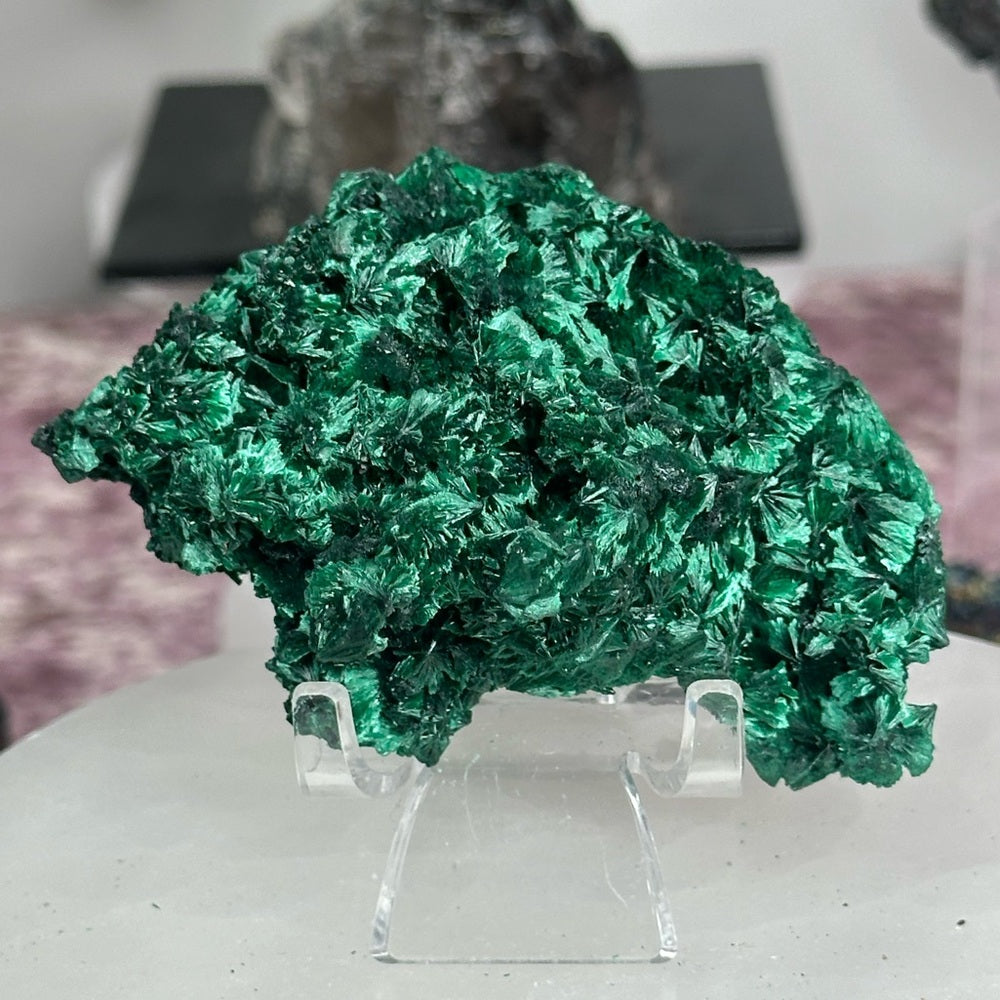 Velvet malachite VM04