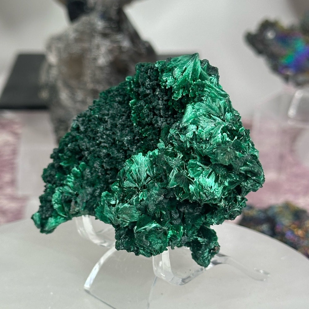 Velvet malachite VM04
