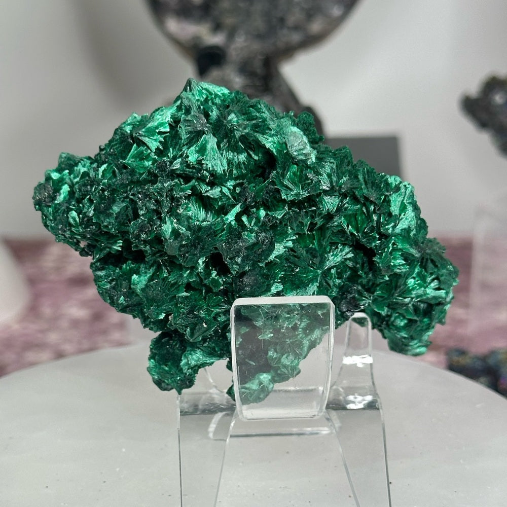 Velvet malachite VM04