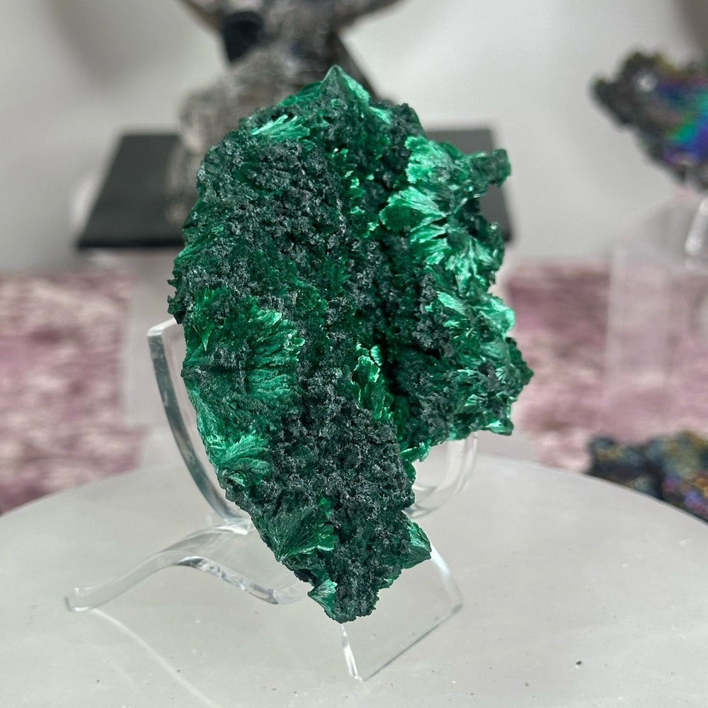 Velvet malachite VM04