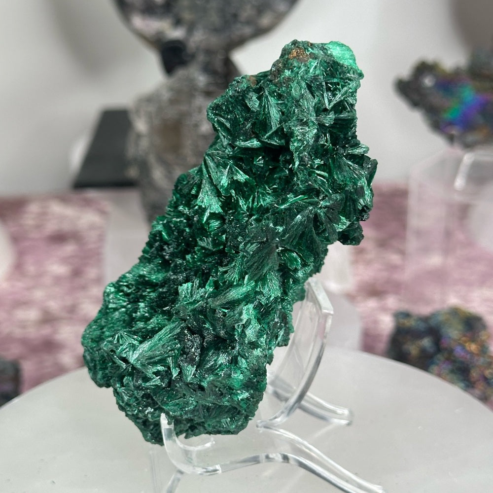Velvet malachite VM05