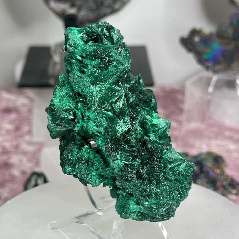 Velvet malachite VM05