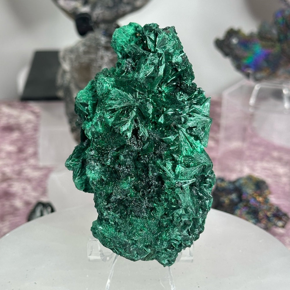 Velvet malachite VM05
