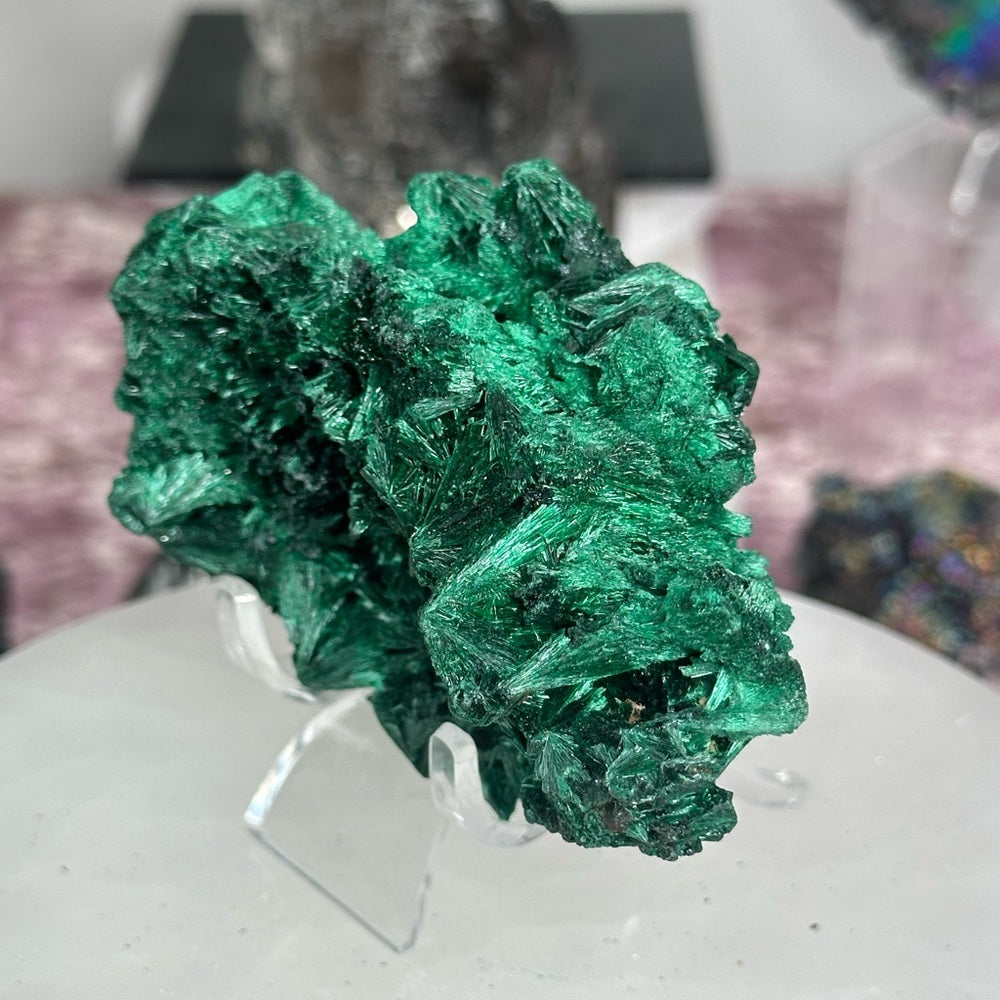 Velvet malachite VM05