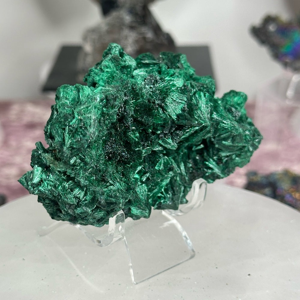 Velvet malachite VM05