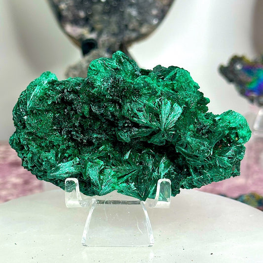 Velvet malachite VM05