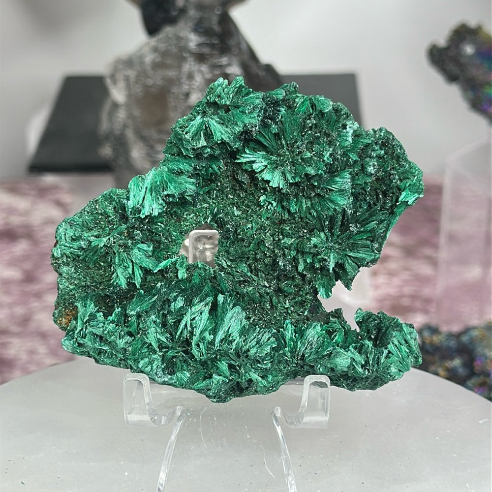 Velvet malachite VM07