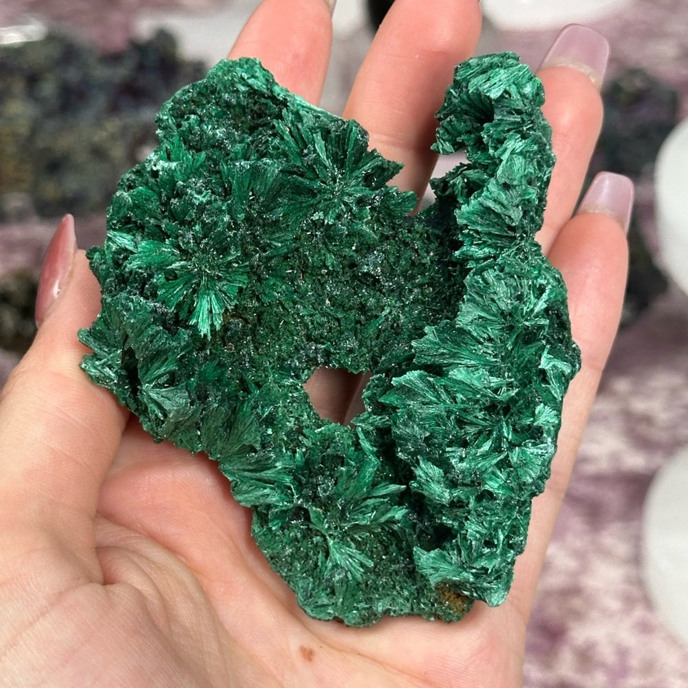 Velvet malachite VM07