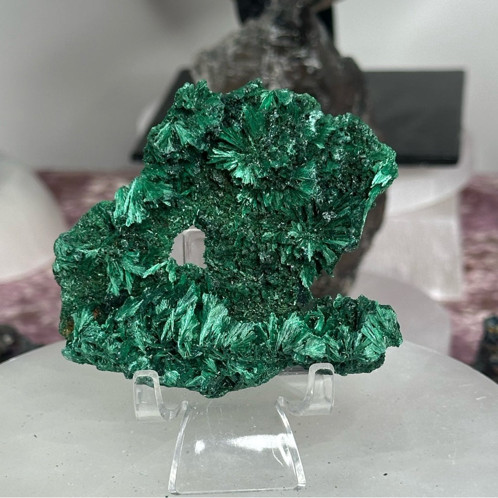 Velvet malachite VM07