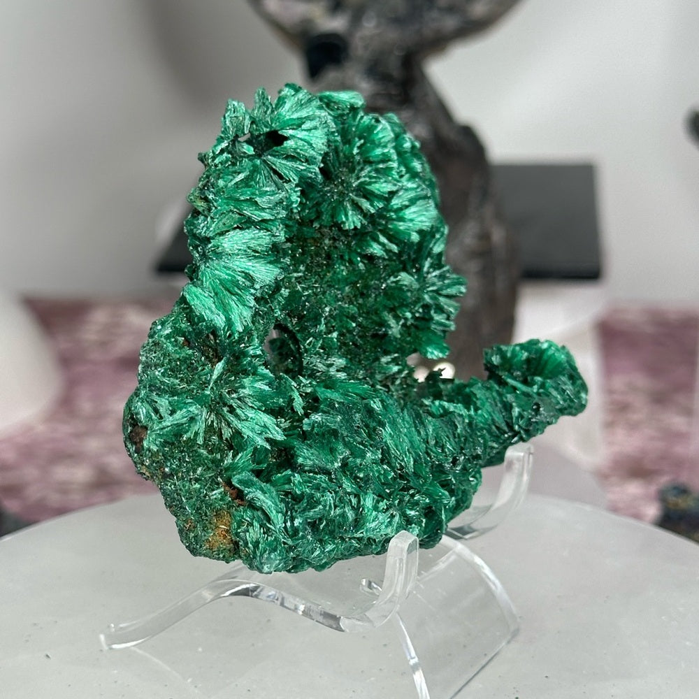 Velvet malachite VM07