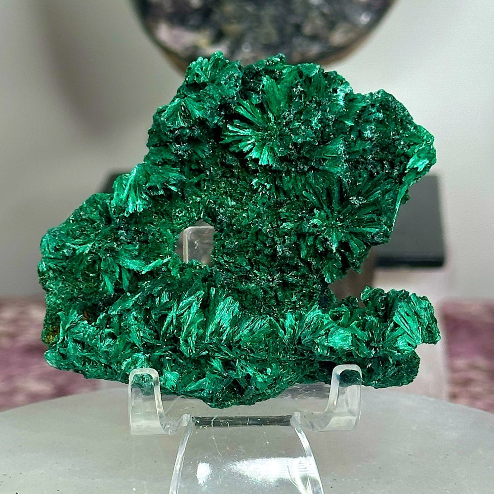 Velvet malachite VM07