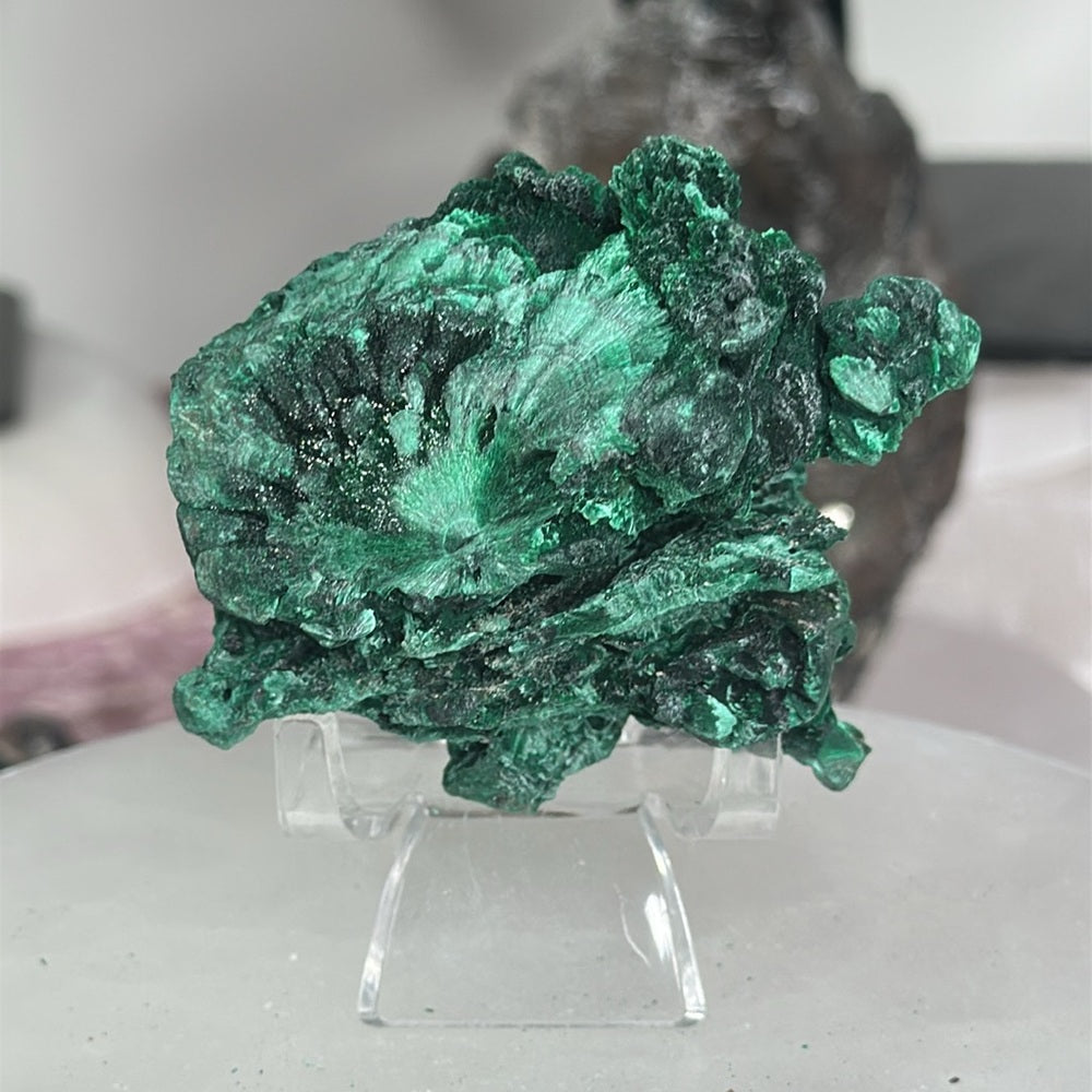 Velvet malachite VM08