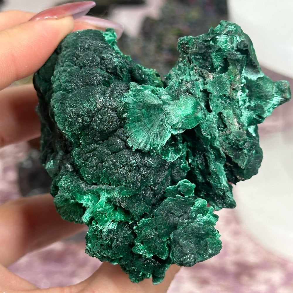 Velvet malachite VM08