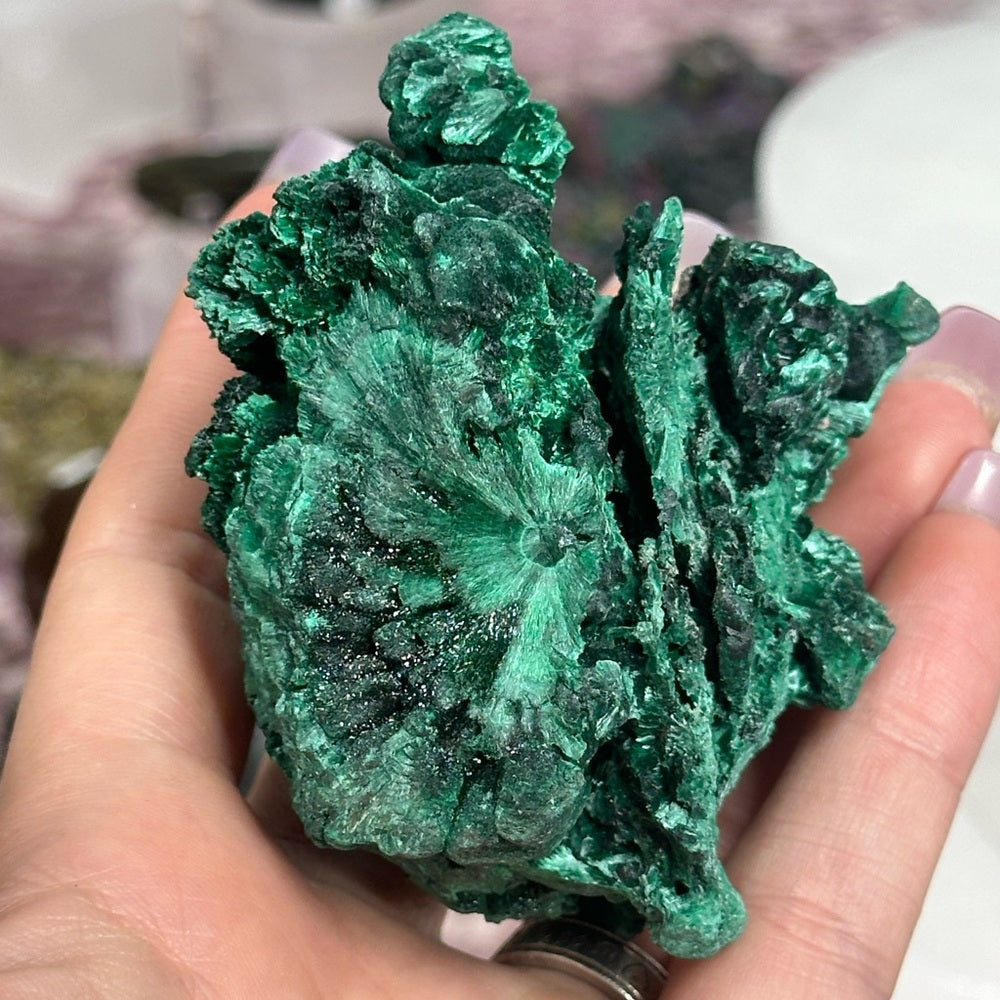 Velvet malachite VM08