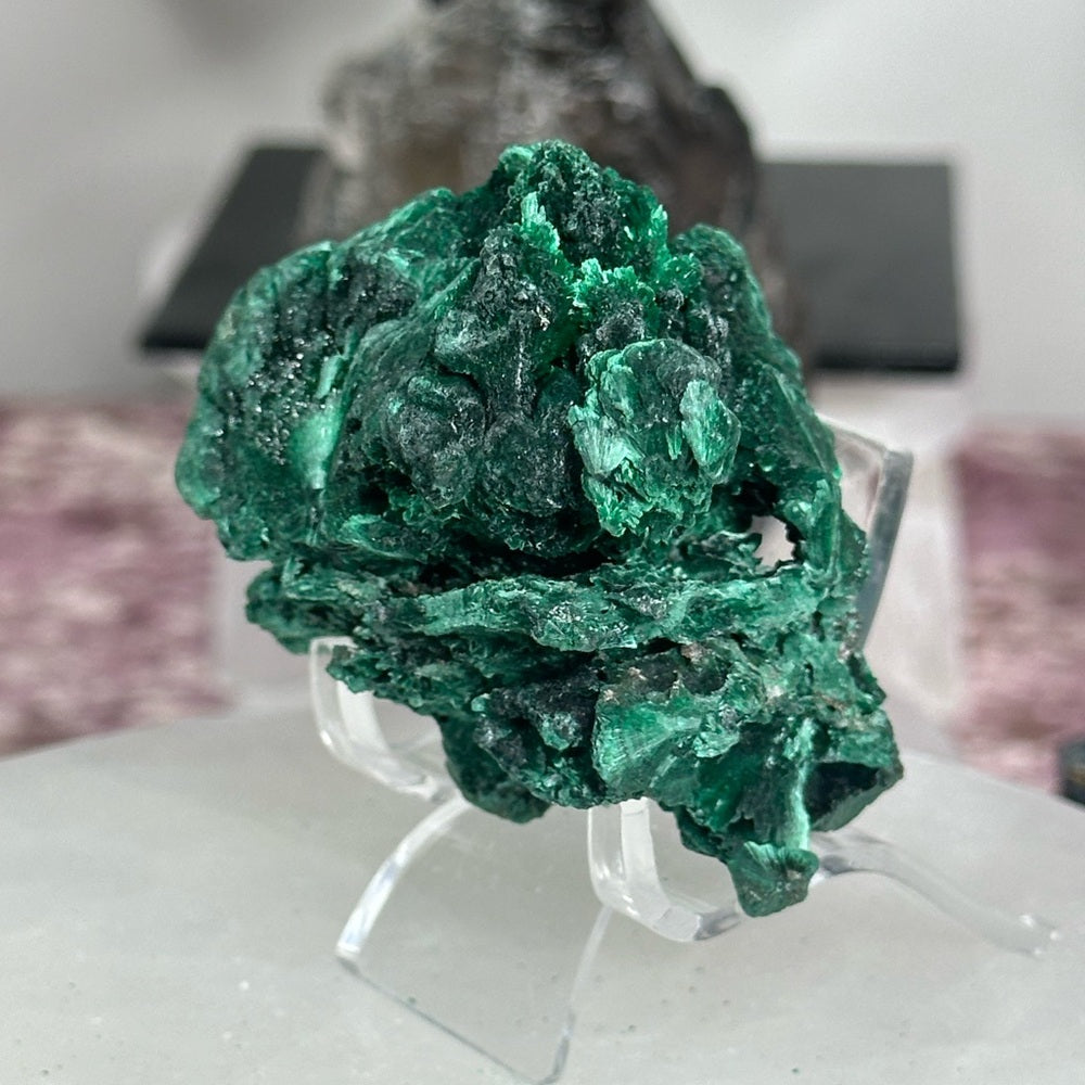 Velvet malachite VM08