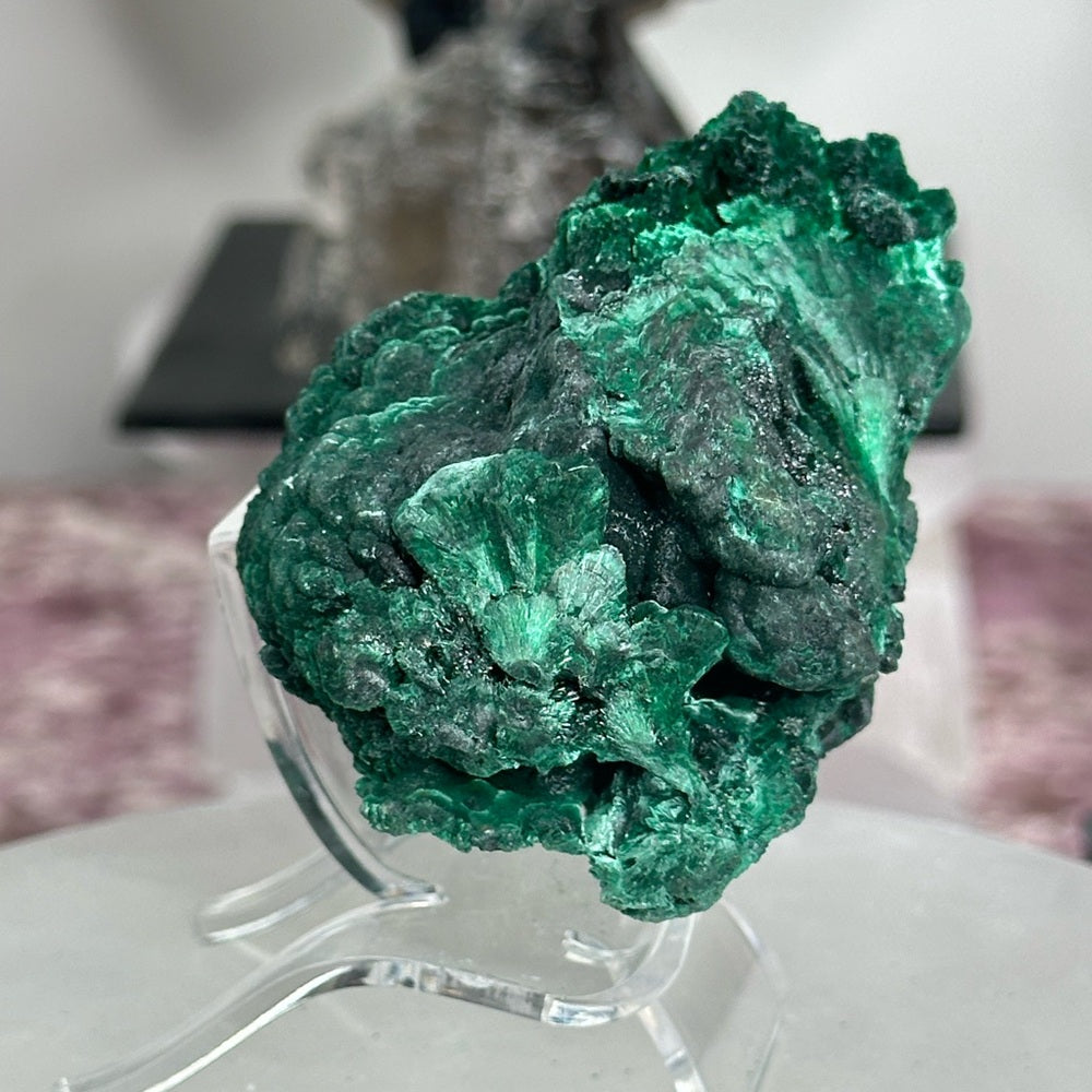 Velvet malachite VM08