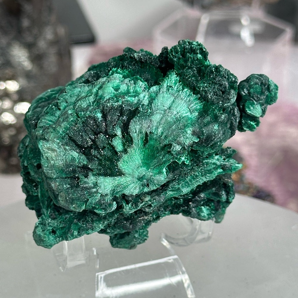 Velvet malachite VM08