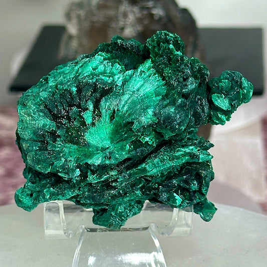 Velvet malachite VM08