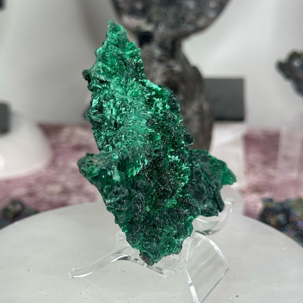 Velvet malachite VM09