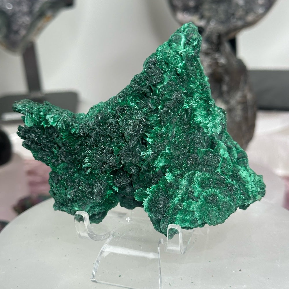 Velvet malachite VM09